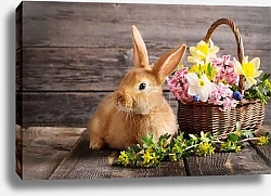 Постер Рыжий кролик с корзинкой цветов