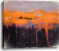 Постер Тайер Эббот Красные фламинго, исследование для книги 