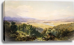 Постер Галли Джон Пейзаж, Нельсон