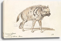 Постер Смит Чарльз Гамильтон The Hyena of Albara