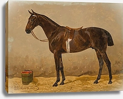 Постер Волкерс Эмиль Оседланный гнедой конь в конюшне