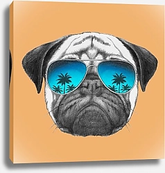 Постер Пугель в солнечных очках