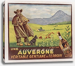 Постер Неизвестен Настоящий овернский горечавка из терруара
