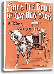 Постер Неизвестен Она - красавица веселого Нью-Йорка