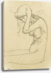 Постер Риссельберге Тео Обнаженная в профиль, причесывающаяся