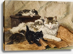 Постер Роннер-Нип Генриетта A Mother And Her Kittens