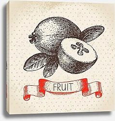 Постер Иллюстрация с фейхоа