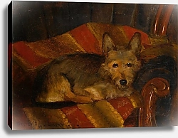 Постер Лавери Джон Собака на стуле