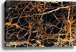 Постер Черный камень с золотыми прожилками