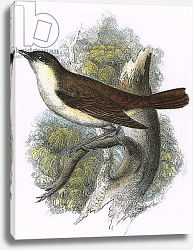 Постер Школа: Английская 20в. Nightingale 2 Постер Школа: Английская 20в. Nightingale 2