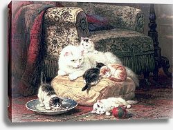 Постер Роннер-Нип Генриетта Cat with her Kittens on a Cushion Постер Роннер-Нип Генриетта Cat with her Kittens on a Cushion