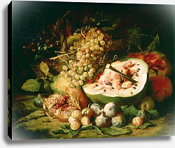 Постер Снайдерс Франц Still Life of Fruit on a Ledge Постер Снайдерс Франц Still Life of Fruit on a Ledge