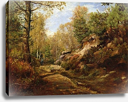 Постер Дьютилюкс Анри Pines and Birch Trees or, The Forest of Fontainebleau, c.1855-57 Постер Дьютилюкс Анри Pines and Birch Trees or, The Forest of Fontainebleau, c.1855-57