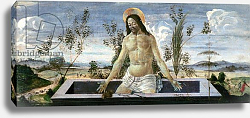 Постер Боттичелли Сандро (Sandro Botticelli) Predella panel depicting the Resurrection, from the St. Barnabas Altarpiece Постер Боттичелли Сандро (Sandro Botticelli) Predella panel depicting the Resurrection, from the St. Barnabas Altarpiece