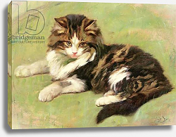 Постер Баркер Райт At Rest Постер Баркер Райт At Rest