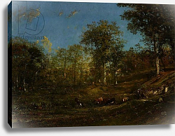 Постер Дюпре Жюль View of the Pastures of the Limousin, 1835 Постер Дюпре Жюль View of the Pastures of the Limousin, 1835