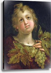 Постер Аахен Йоханн Boy with a bunch of grapes, 1600-5 Постер Аахен Йоханн Boy with a bunch of grapes, 1600-5