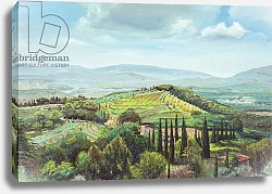 Постер Нил Тревор (совр) Rolling Hills, Pistoia, Tuscany Постер Нил Тревор (совр) Rolling Hills, Pistoia, Tuscany