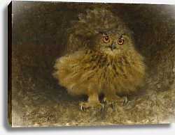 Постер Лильефорс Бруно An Eagle Owl, 1905 Постер Лильефорс Бруно An Eagle Owl, 1905