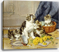 Постер Мерлин Даниэль Playful Kittens, Постер Мерлин Даниэль Playful Kittens,