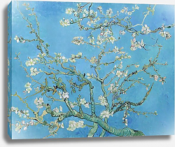 Постер Ван Гог Винсент (Vincent Van Gogh) Цветущий миндаль