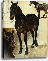 Постер Делакруа Эжен (Eugene Delacroix) Three Studies of Horses; Trois Etudes de Chevaux, c.1823 Постер Делакруа Эжен (Eugene Delacroix) Three Studies of Horses; Trois Etudes de Chevaux, c.1823