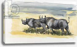 Постер Сандерс Франческа (совр) black rhinos in Masai mara, 2012, Постер Сандерс Франческа (совр) black rhinos in Masai mara, 2012,