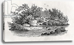 Постер Бевик Томас A bend in the river, from 'Water Birds', published 1804 Постер Бевик Томас A bend in the river, from 'Water Birds', published 1804