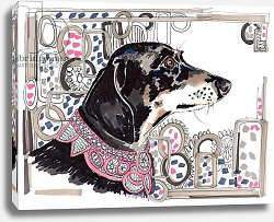 Постер Чамберс Джо (совр) Lacey The Dachshund, 2013, Постер Чамберс Джо (совр) Lacey The Dachshund, 2013,