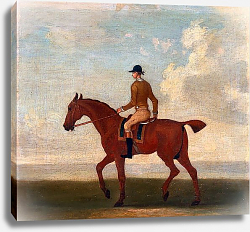 Постер Сеймур Джеймс One of Four Portraits of Horses - a Chestnut Racehorse with Jockey Up 1730 Постер Сеймур Джеймс One of Four Portraits of Horses - a Chestnut Racehorse with Jockey Up 1730