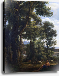 Постер Лоррен Клод (Claude Lorrain) Пейзаж с погонщиком гусей и гусями Постер Лоррен Клод (Claude Lorrain) Пейзаж с погонщиком гусей и гусями