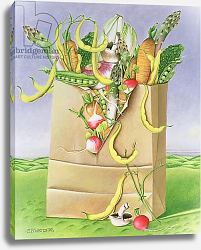 Постер Уоттс Э. (совр) Paper Bag with Vegetables, 1992 Постер Уоттс Э. (совр) Paper Bag with Vegetables, 1992