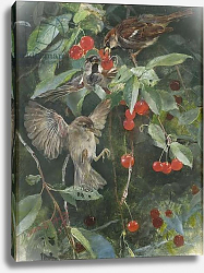 Постер Лильефорс Бруно Sparrows in a Cherry Tree, 1885 Постер Лильефорс Бруно Sparrows in a Cherry Tree, 1885