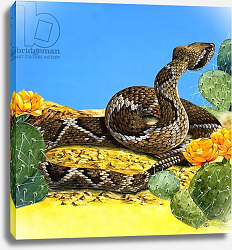 Постер Хук Ричард (дет) The Rattlesnake's Warning, from 'Once Upon a Time' Постер Хук Ричард (дет) The Rattlesnake's Warning, from 'Once Upon a Time'