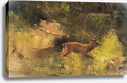 Постер Курбе Гюстав (Gustave Courbet) Stag Running through a Wood, c.1865 Постер Курбе Гюстав (Gustave Courbet) Stag Running through a Wood, c.1865