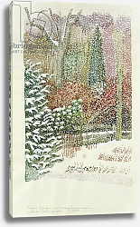 Постер Делеворис Лиллиан Front Garden in Heavy Snowstorm Постер Делеворис Лиллиан Front Garden in Heavy Snowstorm