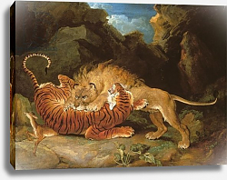 Постер Уорд Артур Fight between a Lion and a Tiger, 1797 Постер Уорд Артур Fight between a Lion and a Tiger, 1797