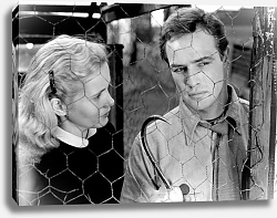Постер Brando, Marlon (On The Waterfront) 8 Постер Brando, Marlon (On The Waterfront) 8