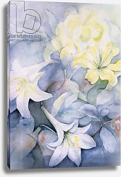 Постер Армитаж Карен (совр) Lilium, Hearts Desire and Imperiale Постер Армитаж Карен (совр) Lilium, Hearts Desire and Imperiale