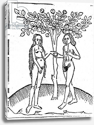 Постер Школа: Английская 15в Adam and Eve, illustration from the 'Speculum Vitae Christi', 1491 Постер Школа: Английская 15в Adam and Eve, illustration from the 'Speculum Vitae Christi', 1491