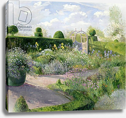 Постер Истон Тимоти (совр) Irises in the Herb Garden, 1995 Постер Истон Тимоти (совр) Irises in the Herb Garden, 1995
