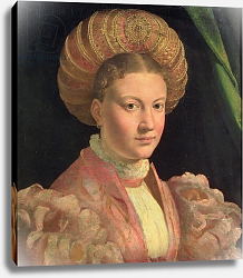 Постер Пармиджанино Portrait of a young woman, possibly Countess Gozzadini, c.1530 Постер Пармиджанино Portrait of a young woman, possibly Countess Gozzadini, c.1530