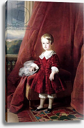 Постер Винтерхальтер Франсуа Portrait of Louis d'Orleans, 1845 Постер Винтерхальтер Франсуа Portrait of Louis d'Orleans, 1845