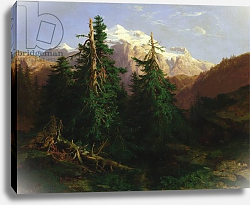 Постер Калам Александр Glacier, Rosen Lanigletscher, 1854 Постер Калам Александр Glacier, Rosen Lanigletscher, 1854
