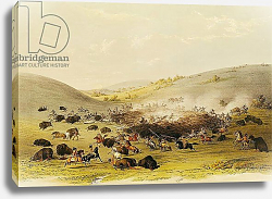 Постер Кэтлин Джордж Buffalo Hunt, Surround, c.1832 Постер Кэтлин Джордж Buffalo Hunt, Surround, c.1832