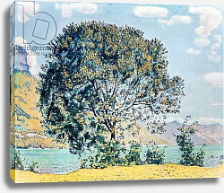 Постер Ходлер Фердинанд A View of Lake Brienz from Bodeli Постер Ходлер Фердинанд A View of Lake Brienz from Bodeli