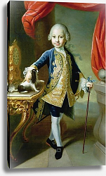Постер Мейтенс Мартин Portrait of a Boy with Pet Spaniel, 18th century Постер Мейтенс Мартин Portrait of a Boy with Pet Spaniel, 18th century