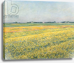 Постер Кайботт Гюстав (Gustave Caillebotte) The Plain of Gennevilliers, Yellow Fields; La plaine de Gennevilliers, champs jaunes, 1884 Постер Кайботт Гюстав (Gustave Caillebotte) The Plain of Gennevilliers, Yellow Fields; La plaine de Gennevilliers, champs jaunes, 1884