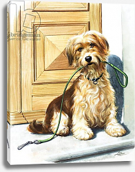 Постер Иллос Берт Dog holding lead in it's mouth Постер Иллос Берт Dog holding lead in it's mouth