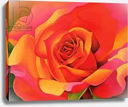 Постер Сим Миунг-Бо (совр) A Rose - Transformation into the Sun, 2001 Постер Сим Миунг-Бо (совр) A Rose - Transformation into the Sun, 2001